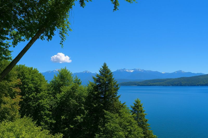 Best Shower Installation pros in Vashon, WA